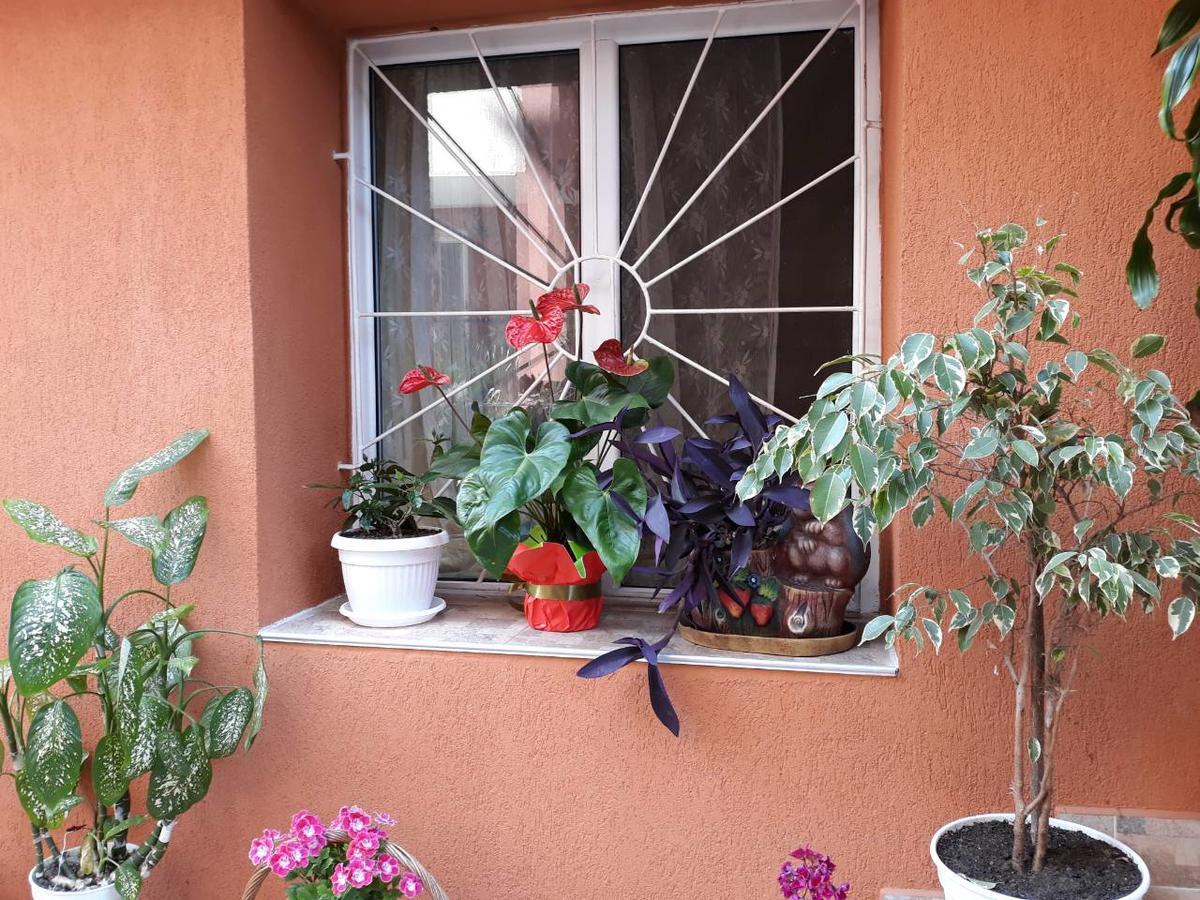 Guest House Yanina Süzebolu Dış mekan fotoğraf